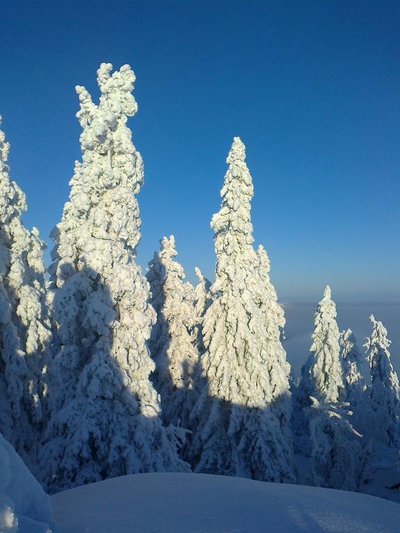 Koli Freetime Cottages Ahmovaara Room photo